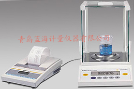 BT系列準(zhǔn)微量、分析、精密天平